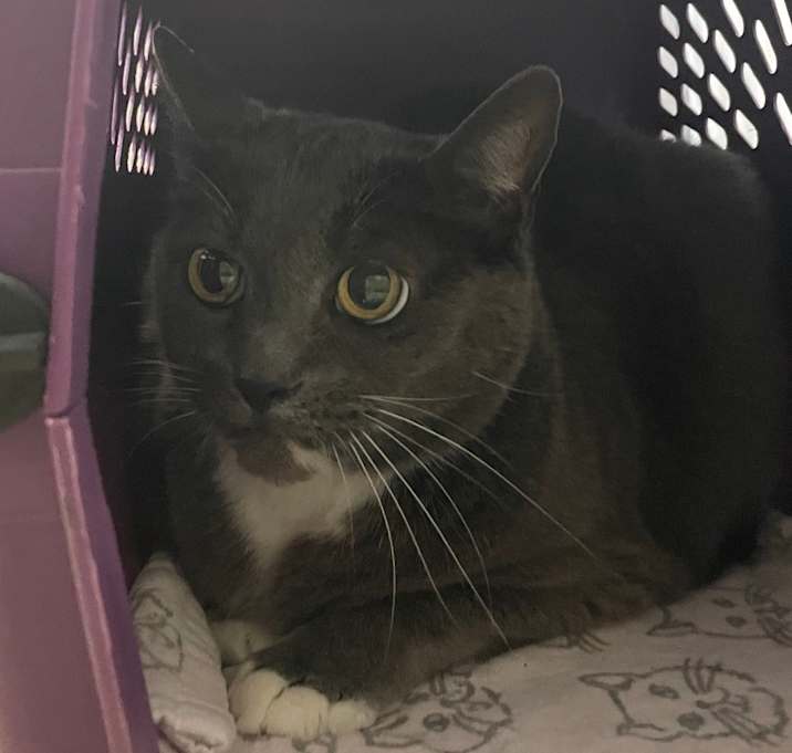 Photo of Missy