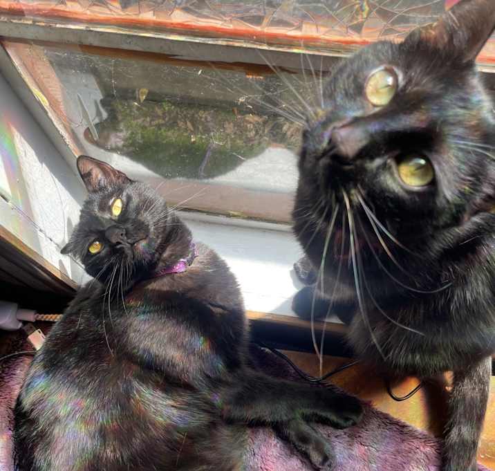 Photo of Judy & Frances