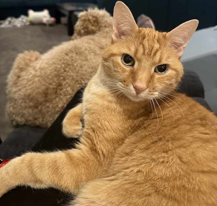 Photo of Jelly