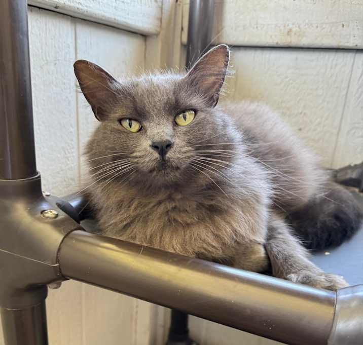Photo of Freya