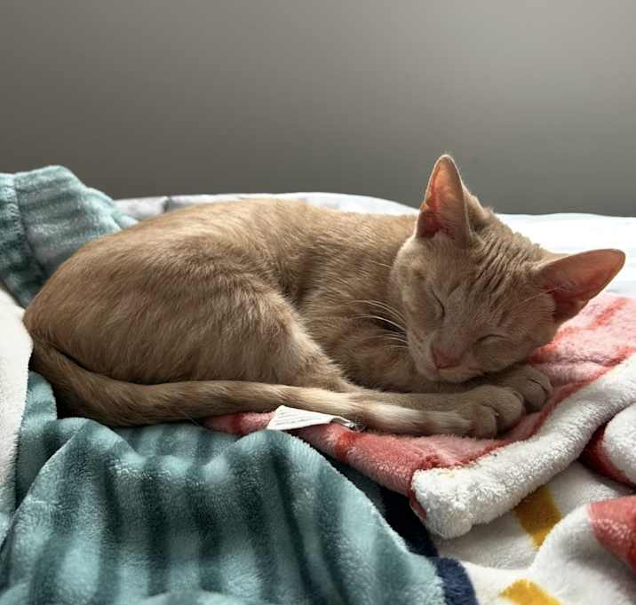Photo of Jasper