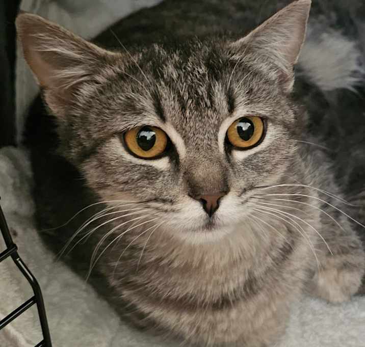 Photo of Belle