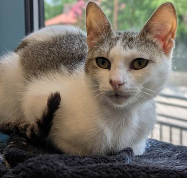 Photo of Colin Feral