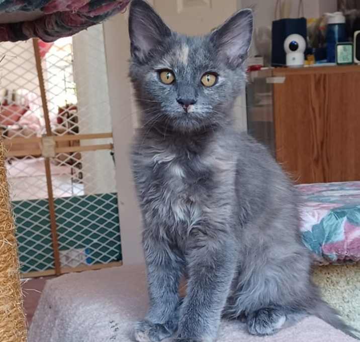 Photo of Bonnie 4763