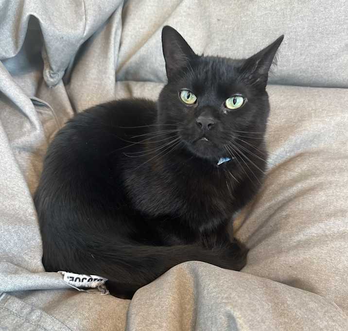 Photo of Salem