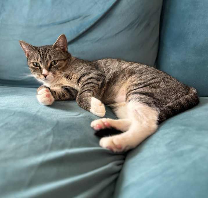 Photo of Betty