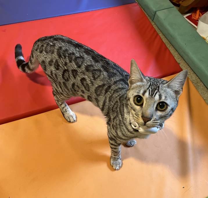Photo of Kiara