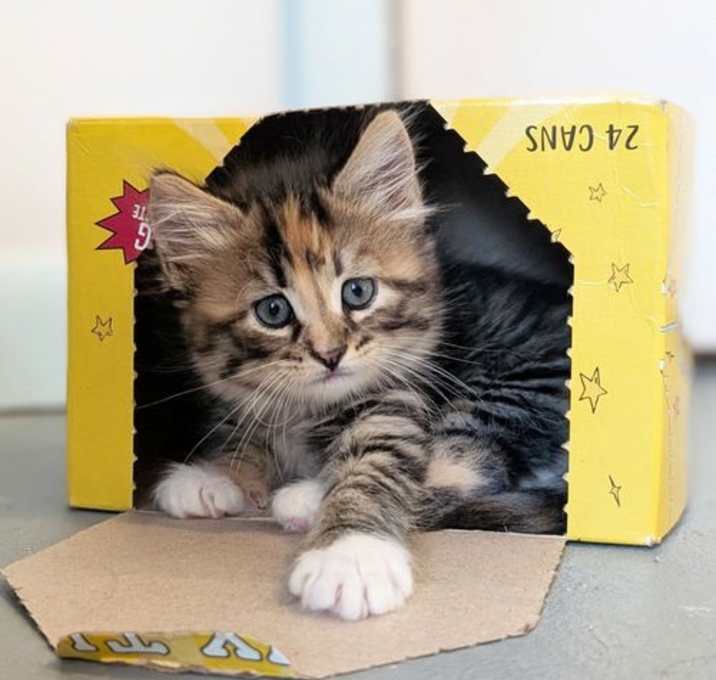 Photo of *Mellie