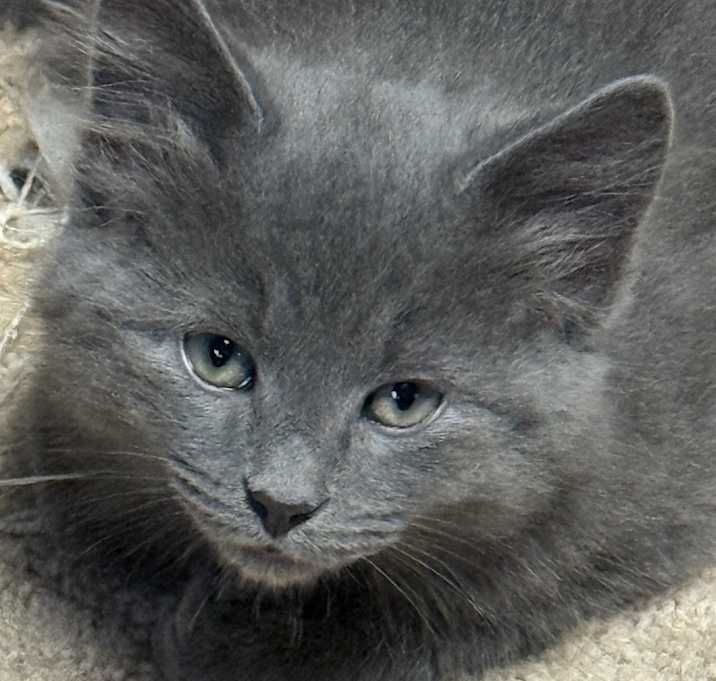 Photo of Catrick