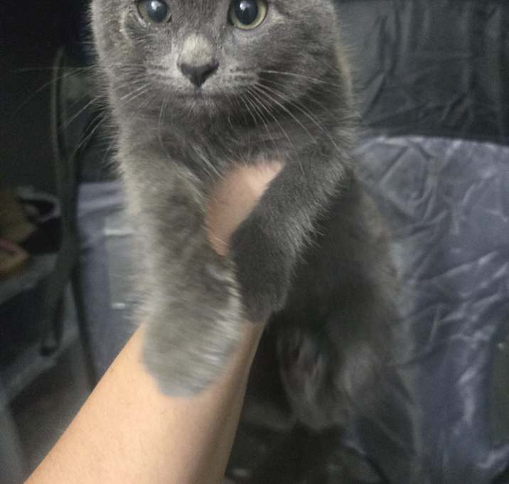 Photo of Wink