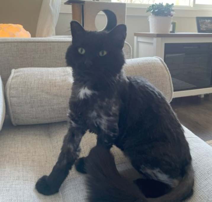 Photo of Watson