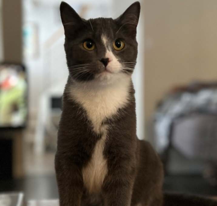 Photo of Hidey Houdini