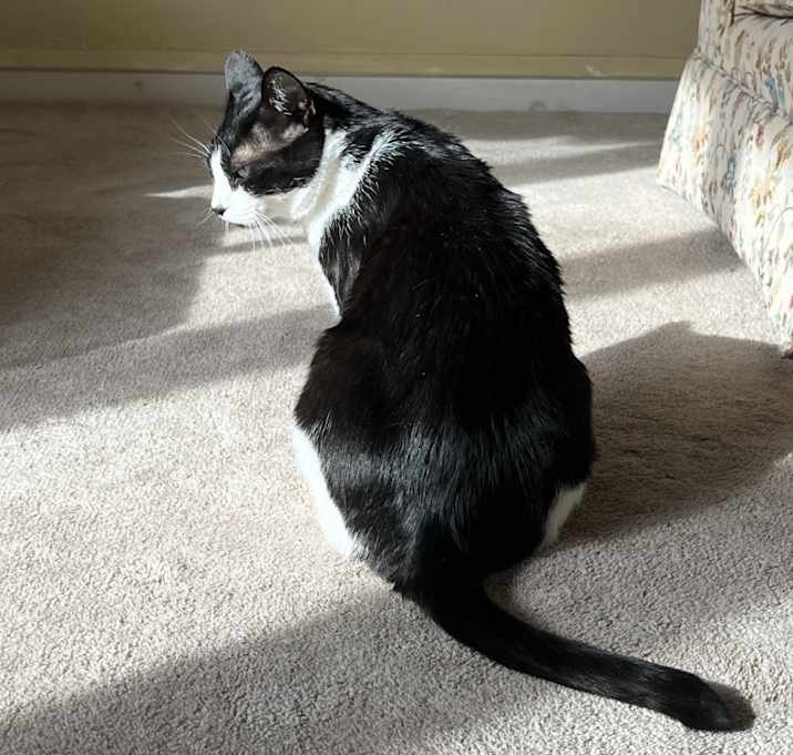 Photo of Rocky