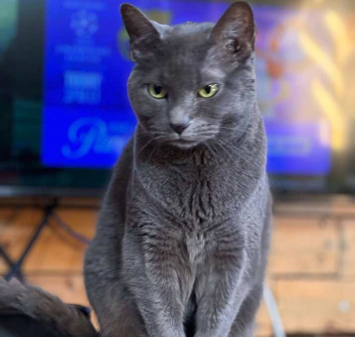 Photo of Mrs. Grey