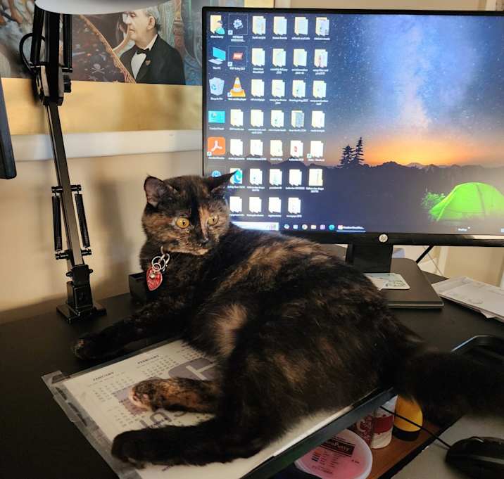 Photo of Binx