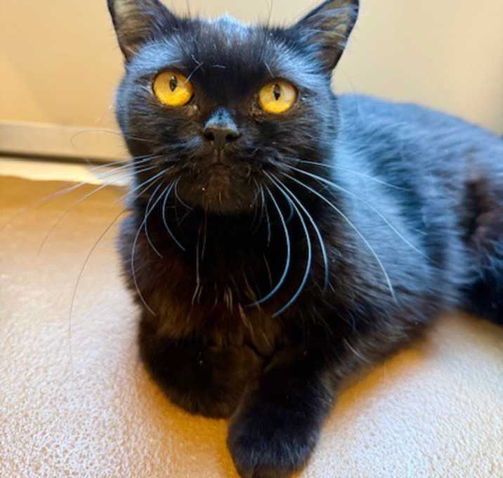 Photo of Princess Taj