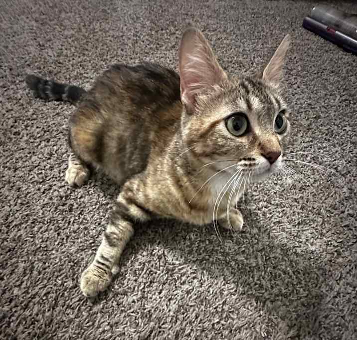 Photo of Tiggy