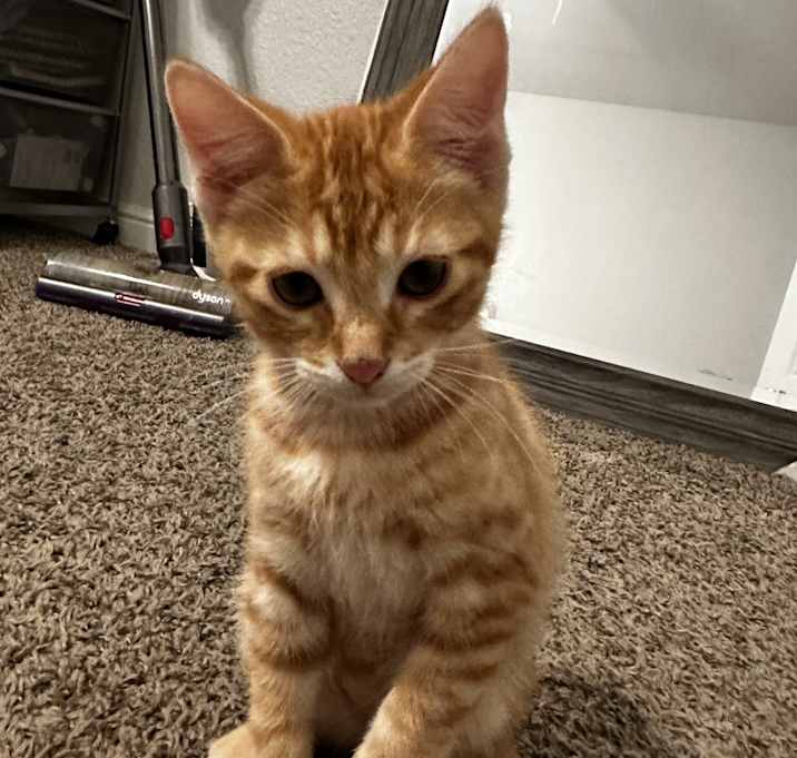 Photo of Raspy