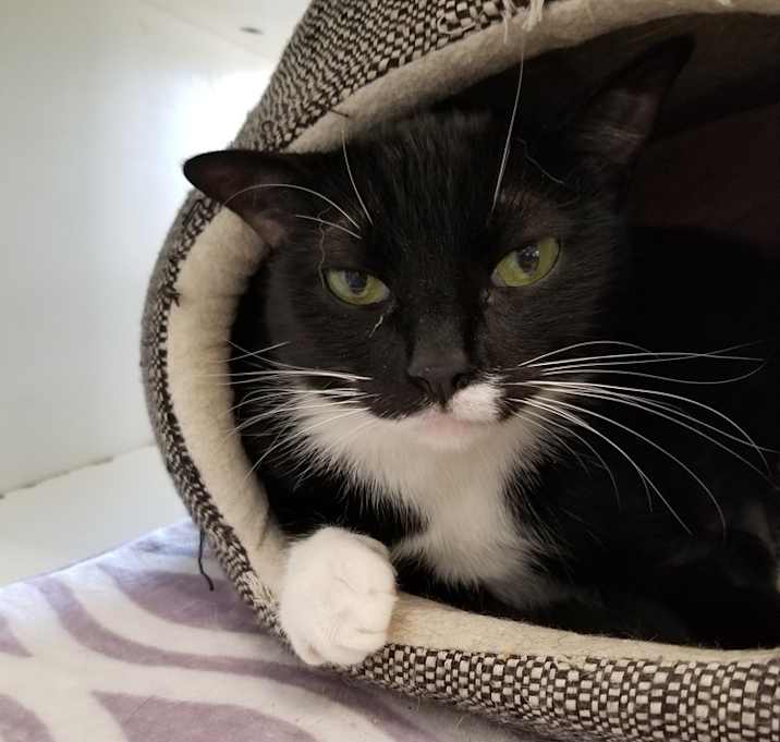 Photo of Fawna 8741