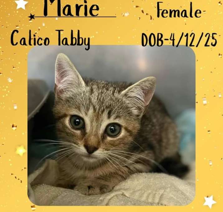 Photo of Marie