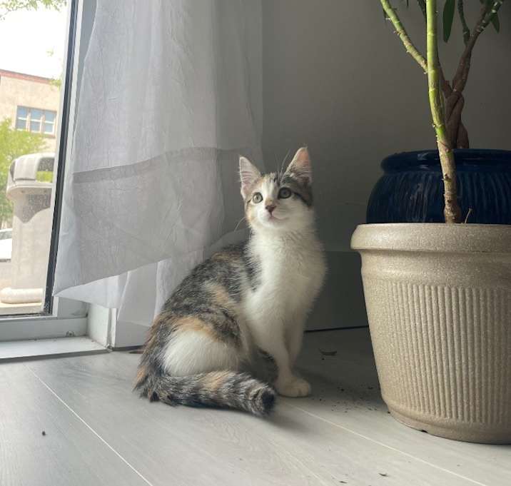 Photo of Eva