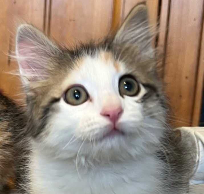 Photo of Edie