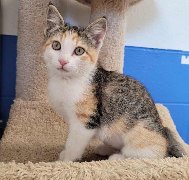 Photo of Esmeralda