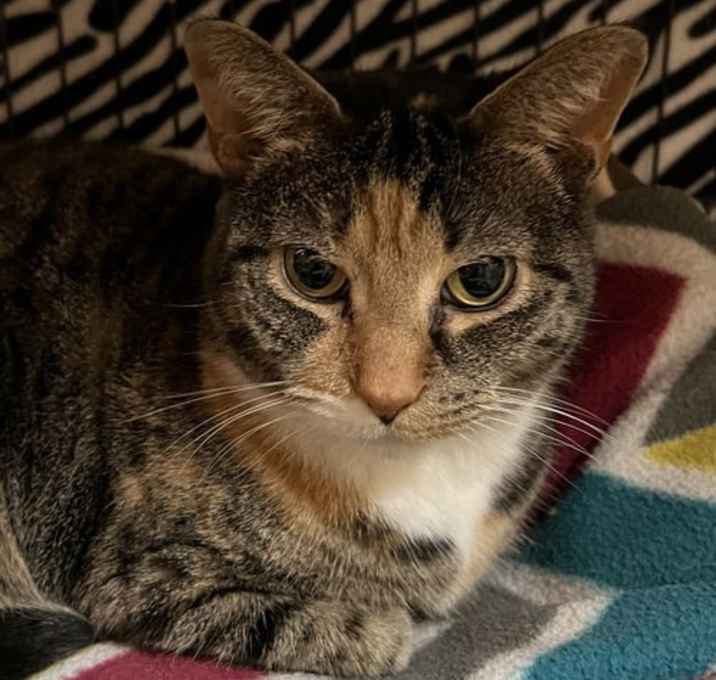 Photo of Maisy