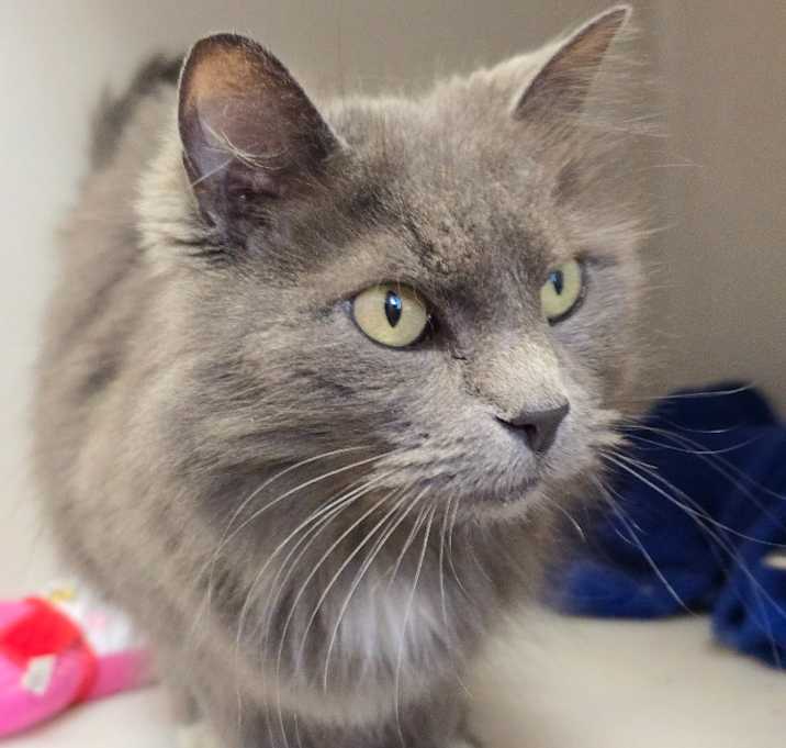 Photo of Freya