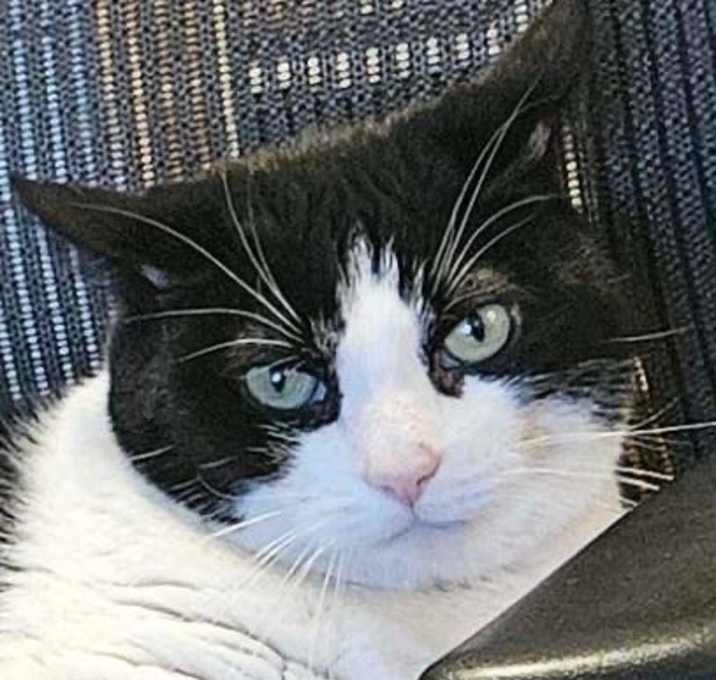 Photo of Puddy
