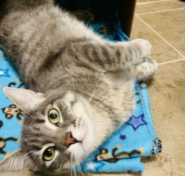 Photo of Lilly