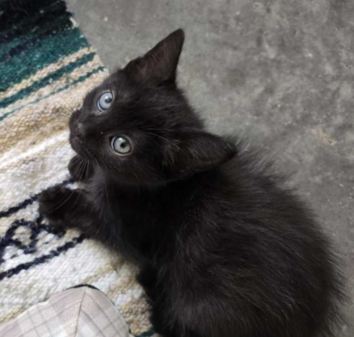 Photo of Ezra