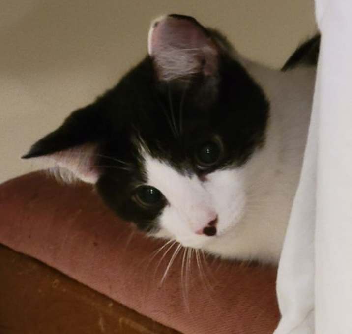 Photo of Hugh Highland and Waylan Wagyu