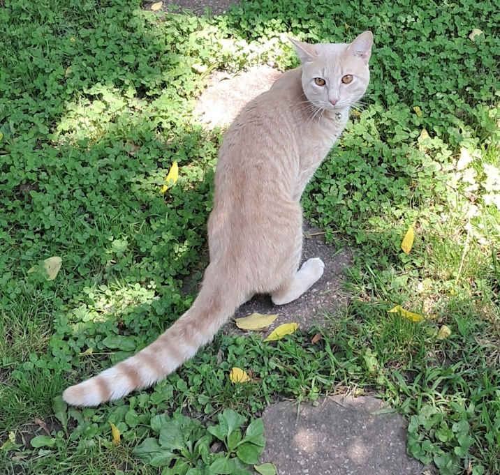 Photo of Butters