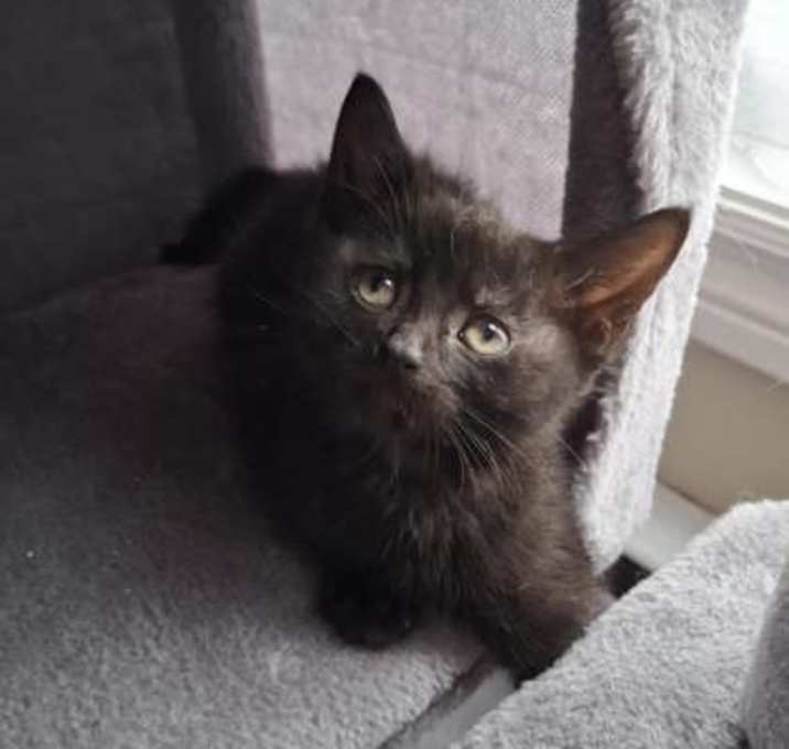 Photo of Jinx