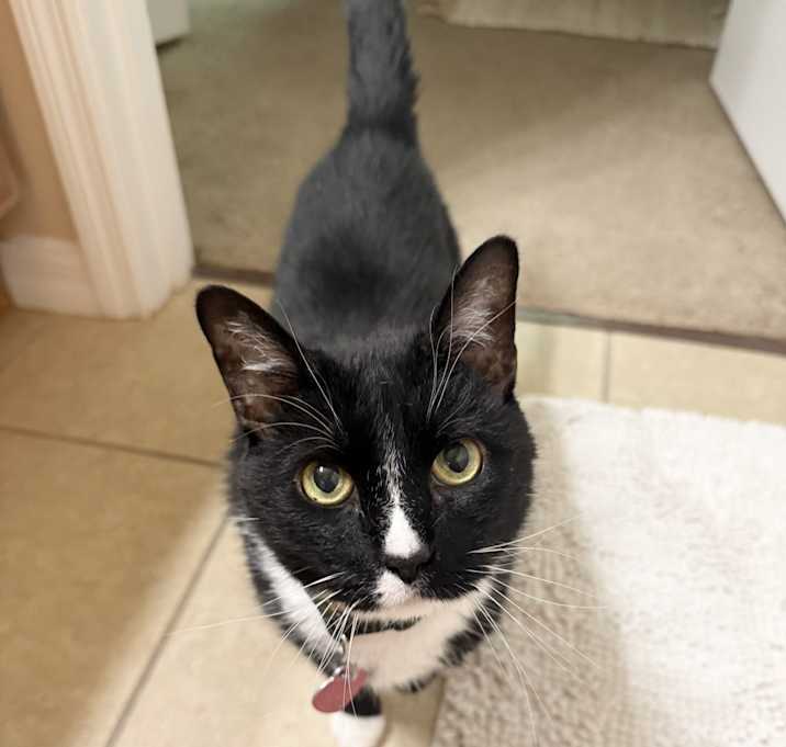 Photo of Tux Jaime