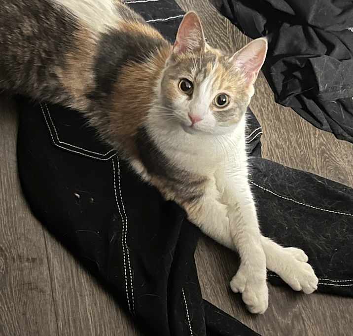 Photo of Nadia