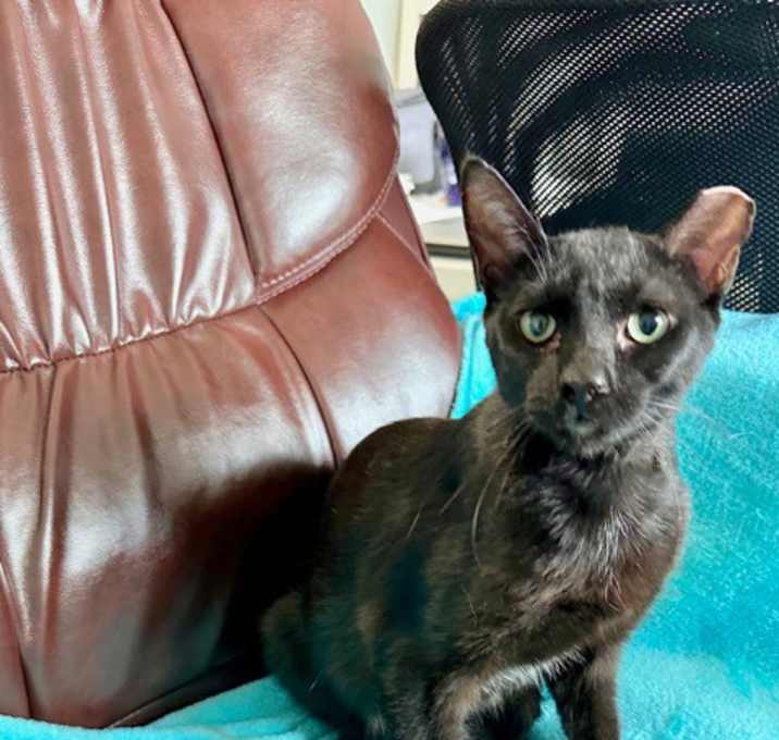 Photo of Jude