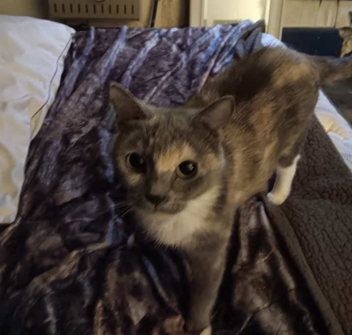 Photo of Drifter