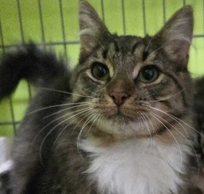 Photo of Tucker