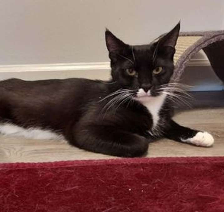 Photo of Coco