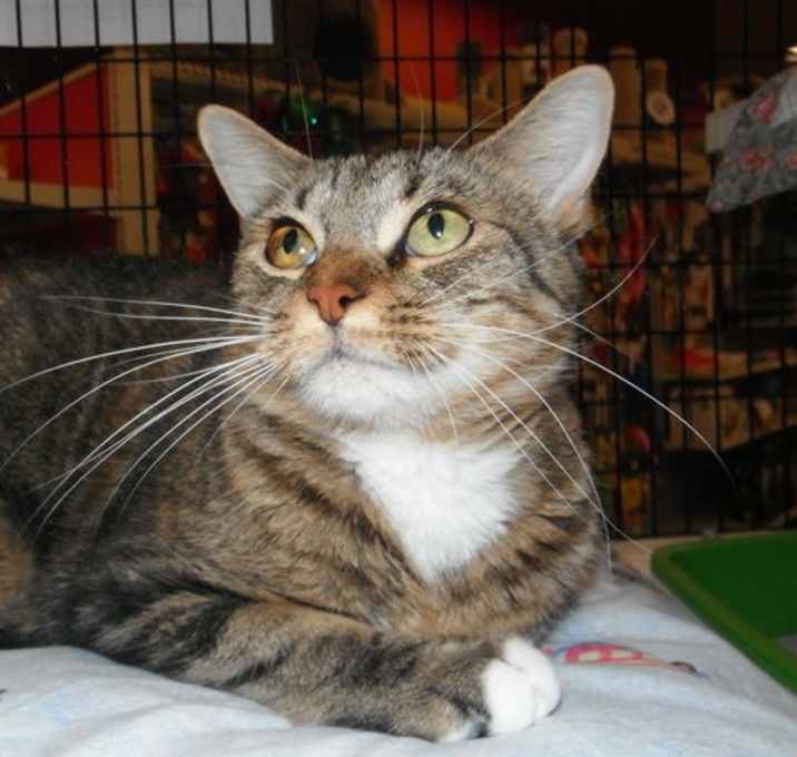 Photo of Beatrice
