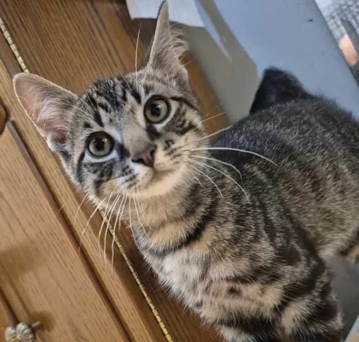 Photo of Sokka