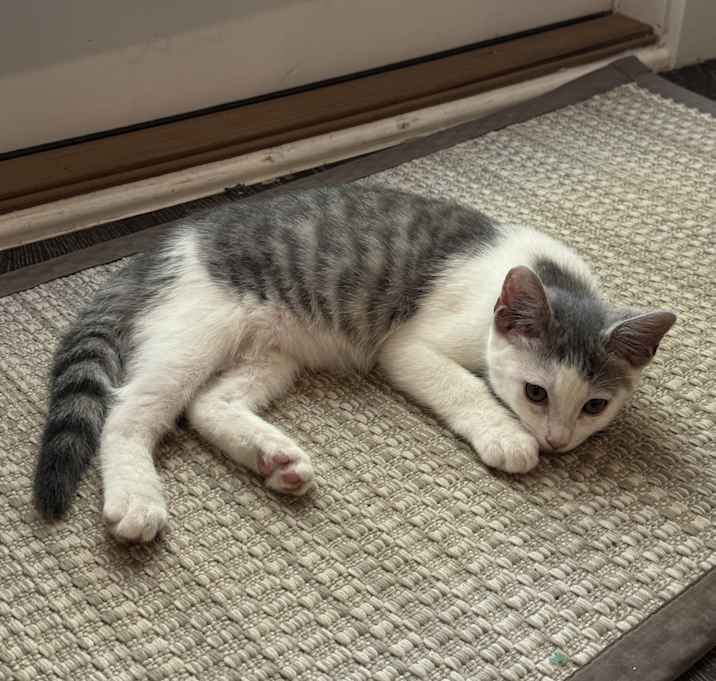 Photo of Lucy LULU