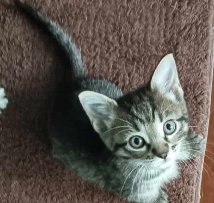 Photo of Genny