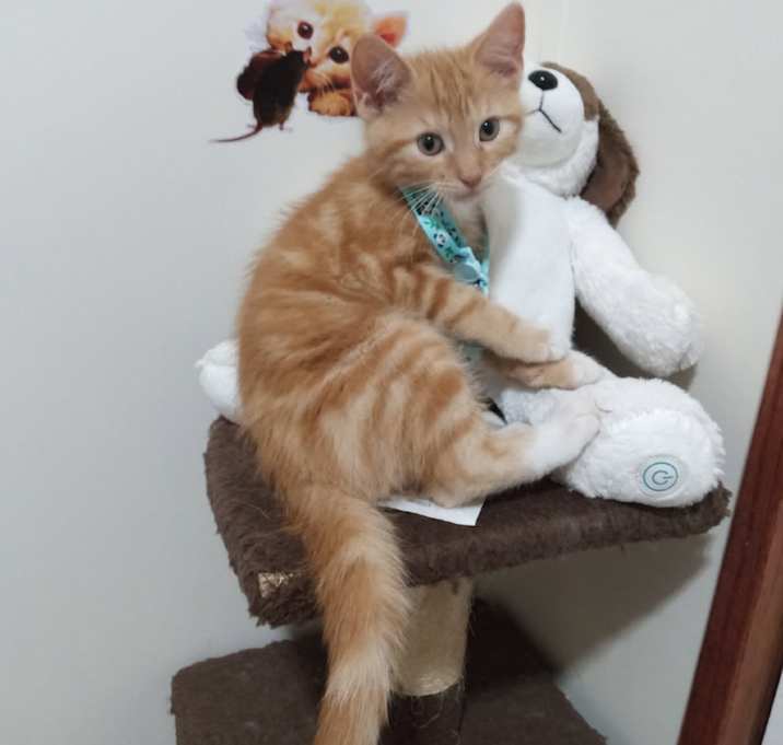 Photo of Hubert