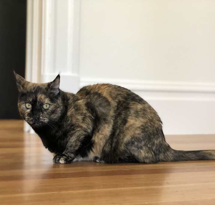 Photo of Cassy