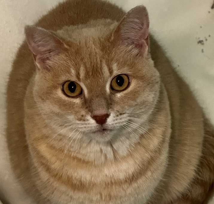 Photo of Sheila