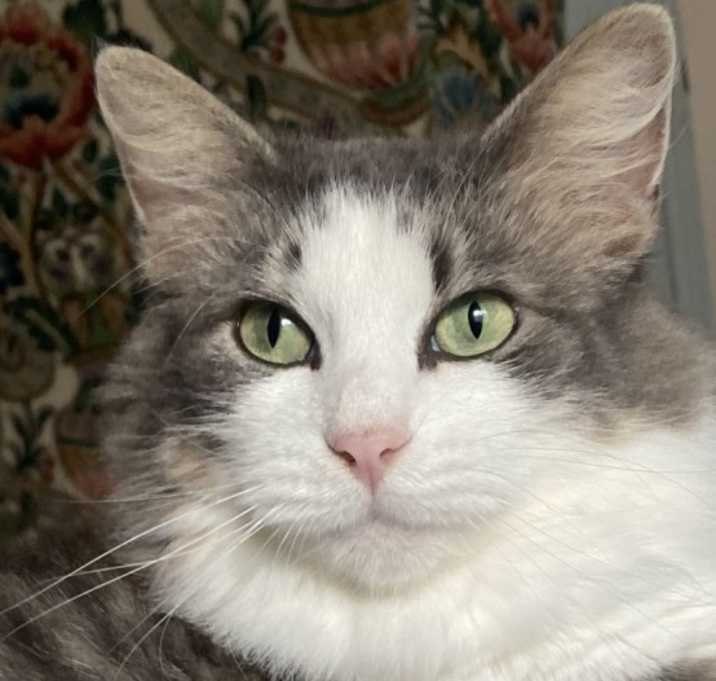 Photo of Emmy