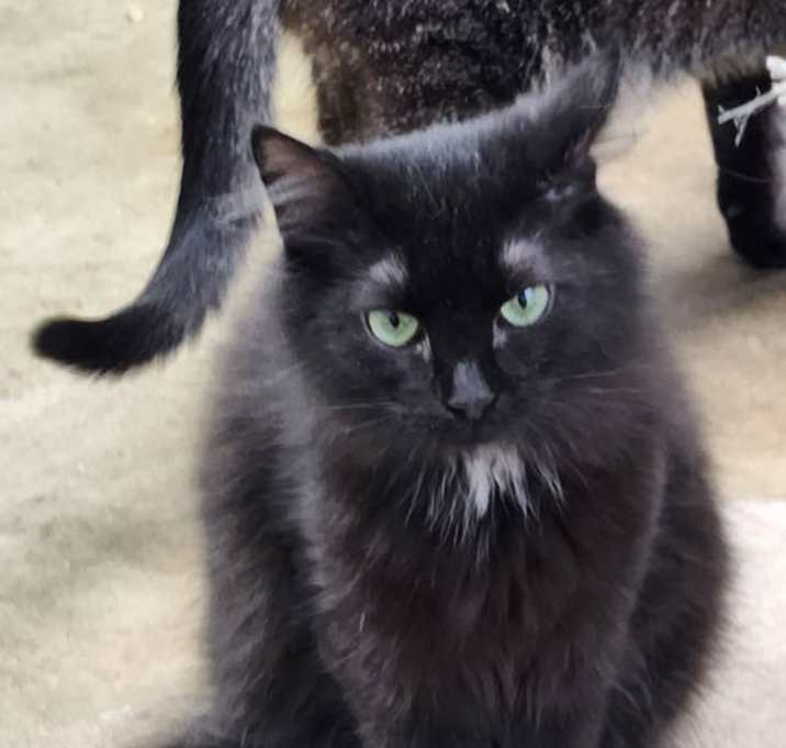 Photo of Lucy